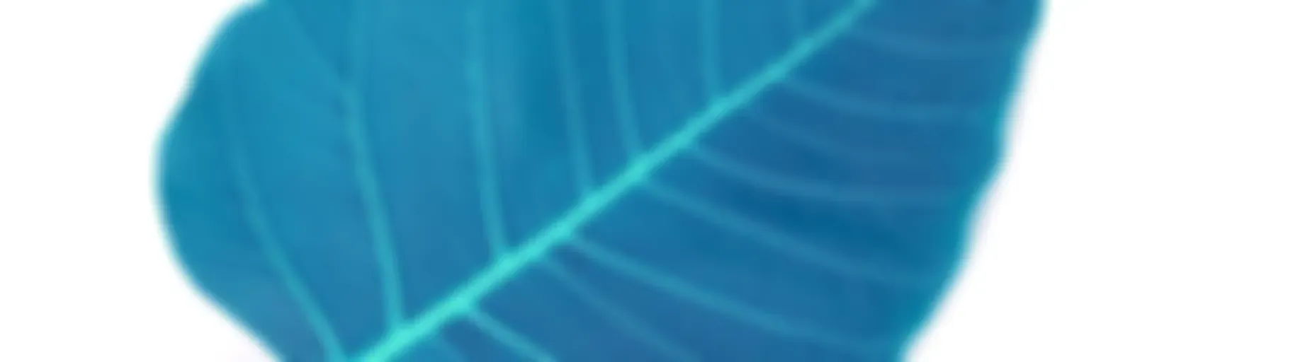 AudioDharma: Diana Clark's most recent dharma talks