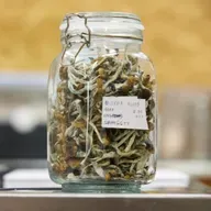 Psychedelics and the future of medicine