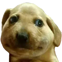 LeStream