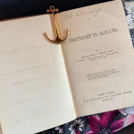 A Dublin Cabman's Tour | Irish Hospitality and Creative Storytelling in 1852