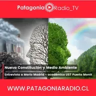 La nueva Constitución y el Medio Ambiente: Entrevista al académico Mario Madrid