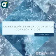 DOMINGO 27-04-2025
