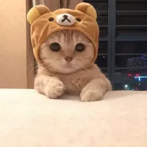 Pussy Power Anthem