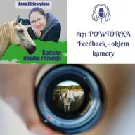 171 POWTÓRKA Feedback - okiem kamery
