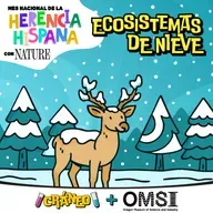 Ciencia de la nieve: Efecto albedo