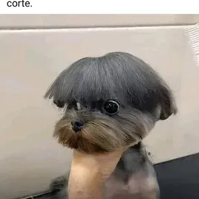 Fernan