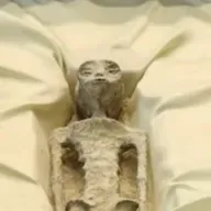 223 - Show and tell " Azúcar por la espalda"