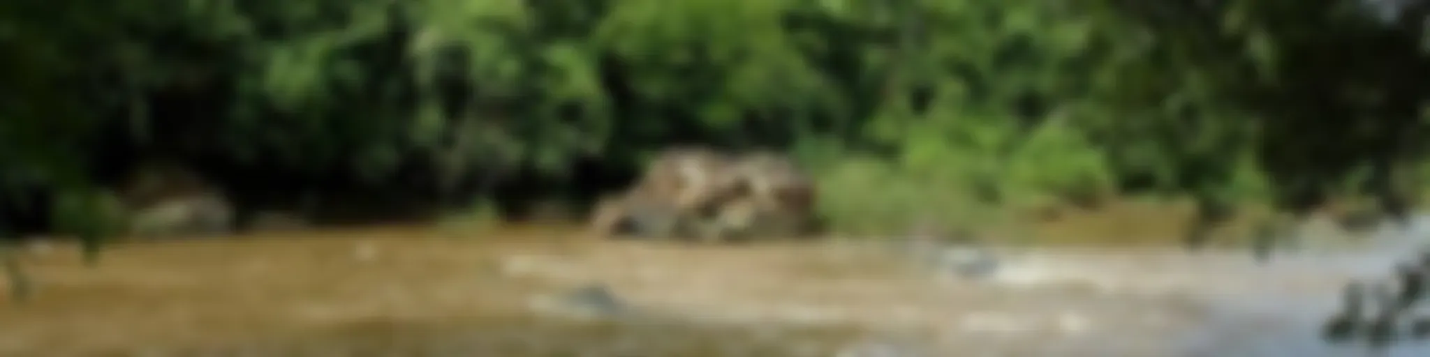 Bem vindos amigos ouvintes