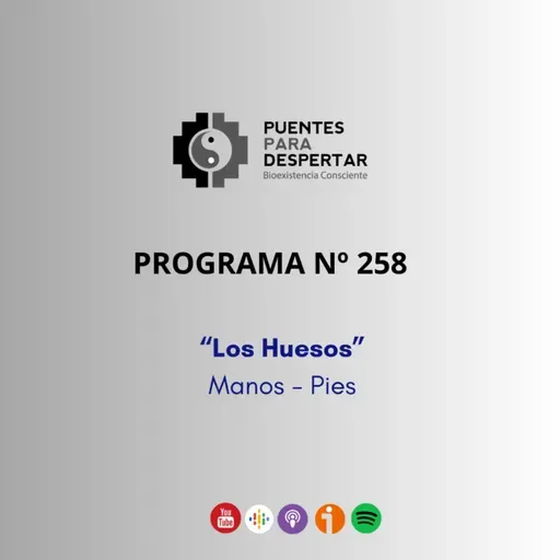 Programa N° 258 de Puentes para Despertar, "Huesos de las Manos y Pies"