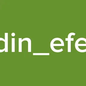 aydin_efeler