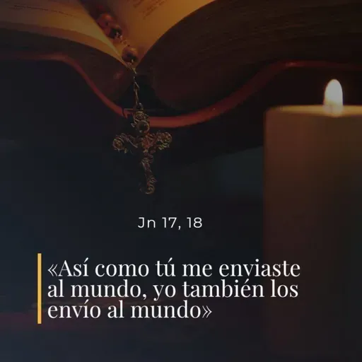 Juan 17, 11-19 - VII Miércoles de Pascua 