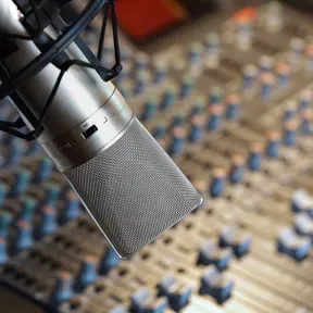 Master Voice