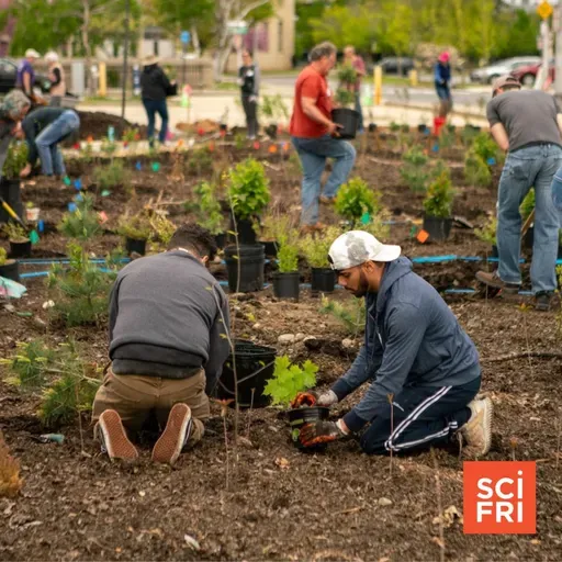 Into the Woods, From Chestnut Genetics To Tiny Forests