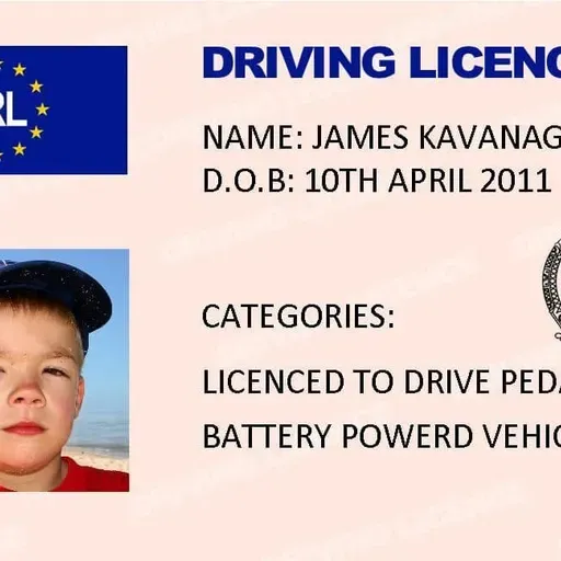 My Irish driving licence exam