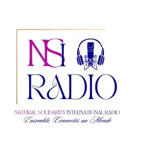 NSI RADIO TV