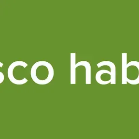 Disco habbo