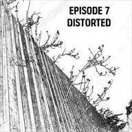 S1: E07 - Distorted