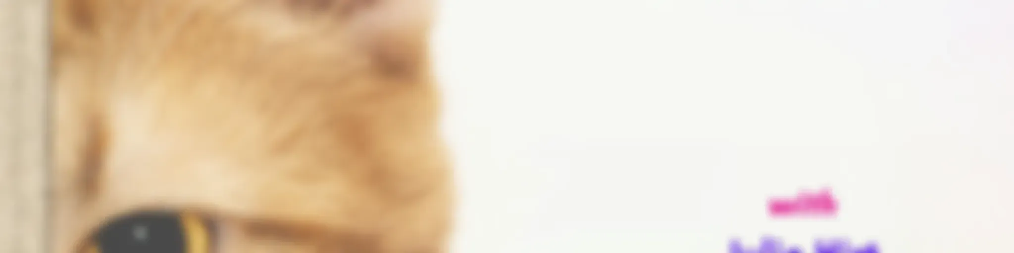 The Animal Communication Podcast