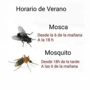 Joaco778