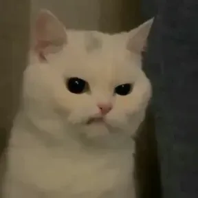 RoRomain