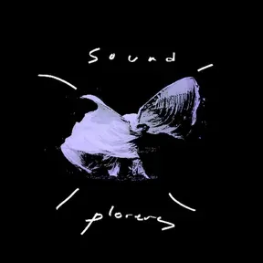 Sound Xplorers