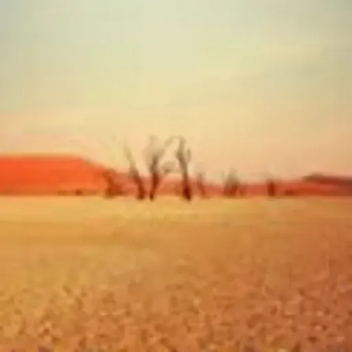 Fim do DESERTO
