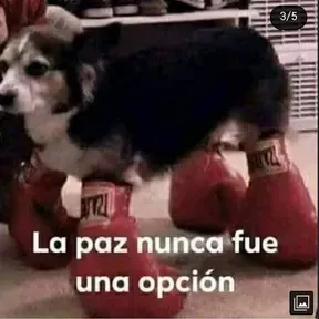 Radio anónima 9