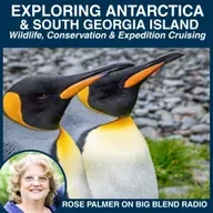Exploring Antarctica & South Georgia Island: Wildlife, Conservation & Expedition Cruising