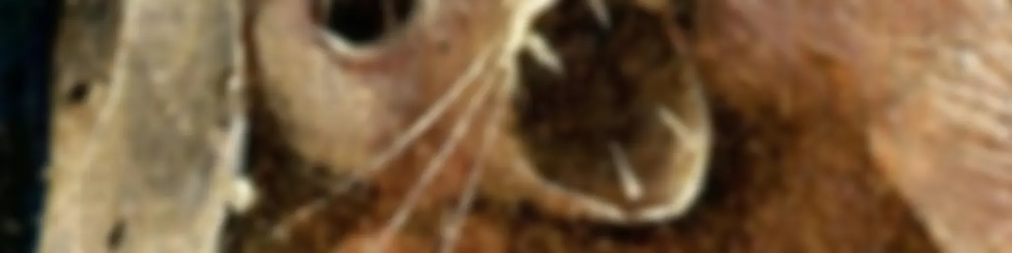 Knifepoint Horror