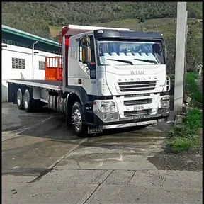 normalito