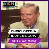 240.NSH - Enciclopedia inútil de la TV: Ante Garmaz