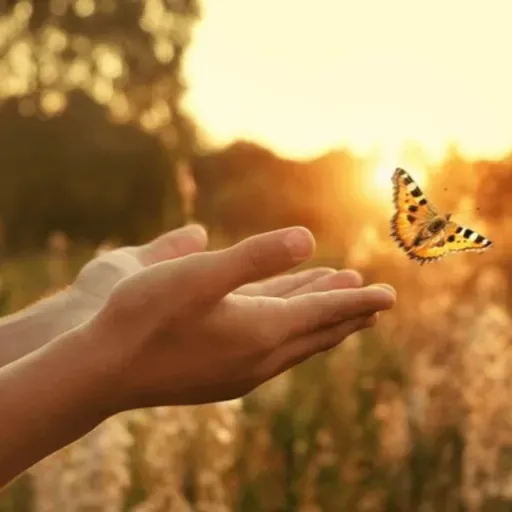 Una transformación necesaria