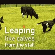 S4 Ep106: Leaping Like Calves--Malachi