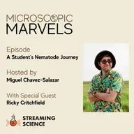 Microscopic Marvels: Ricky Critchfield