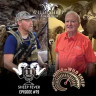 EP79 Moving the Needle for Wild Sheep – Charlie Kelly & Kyle Stelter