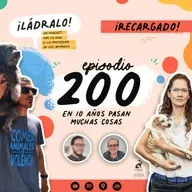 Temporada 16 - En 10 años pasan muchas cosas