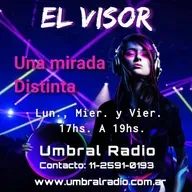 65-El visor 13/11/2020