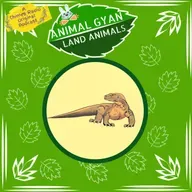 Komodo Dragon
