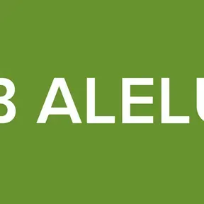 WEB ALELUYA