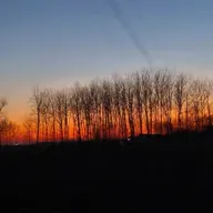 刘亮程：从家乡到故乡