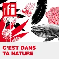 La résurrection du cheval de Przewalski