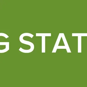 AMONG STATION US