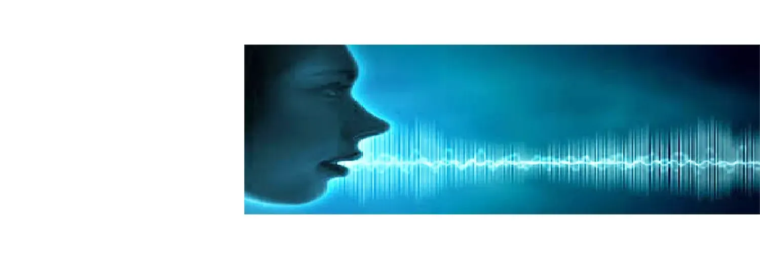 RADIO VOZES FM
