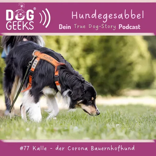 #77 True Dog-Story „Kalle - der Corona Bauernhofhund“