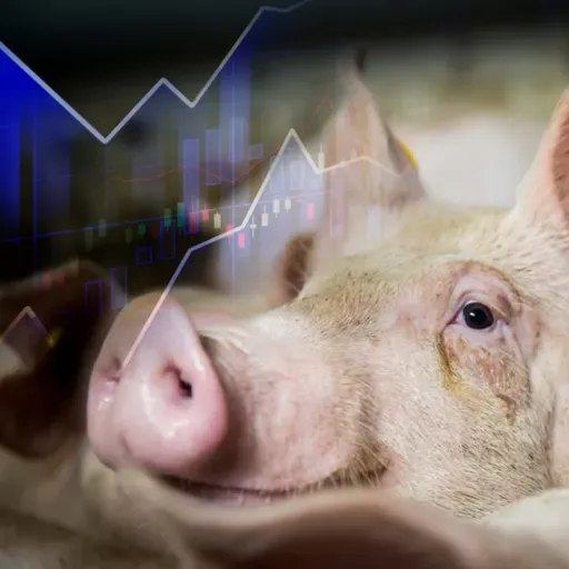 Semana 24 - 2025 | Brotes de PRRS en EEUU | Rabobank: Nuevas dinámicas en el mercado internacional
