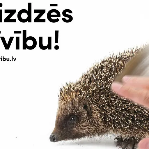 Не погаси жизнь! Зоологи просят прекратить причинять добро диким животным