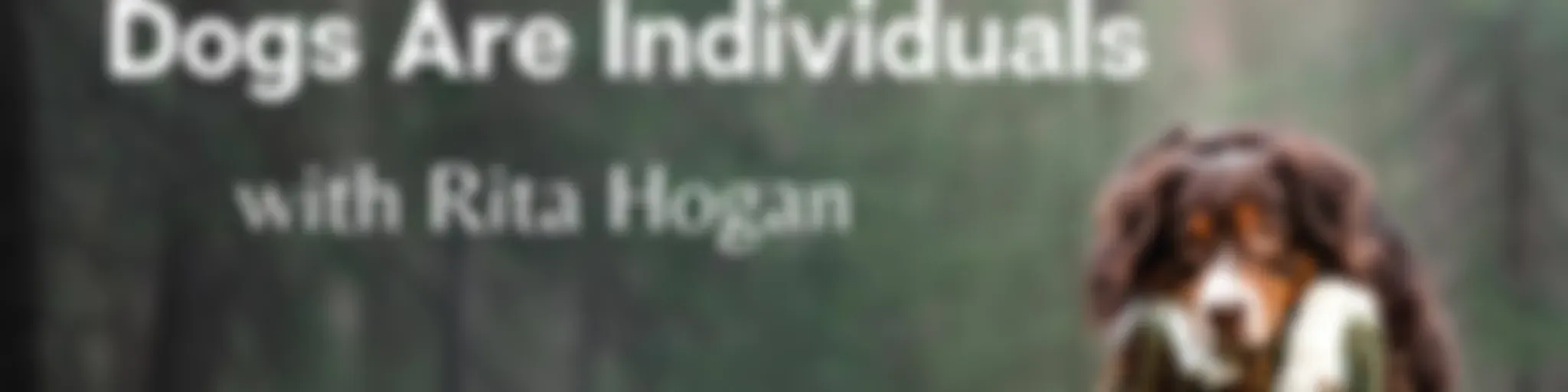 Dogs Are Individuals