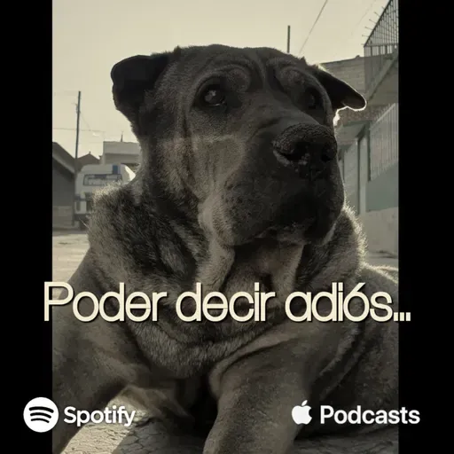 Poder decir adiós...