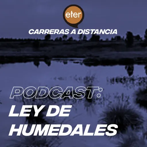 Ley de humedales: ¿Qué son? ¿Por qué es necesaria una ley que los proteja?