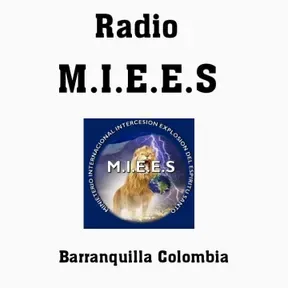 Radio miees
